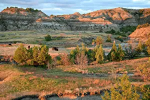 Great Plains Prints: USA, Great Plains, North Dakota