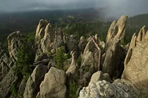 Images Dated 12th July 2022: USA, Great Plains, South Dakota, Black Hills, Custer State Park, the Needles
