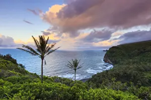 Coastal Landscape Prints: USA, Hawaii, The Big Island, Coastal scenery near Waipio Valley