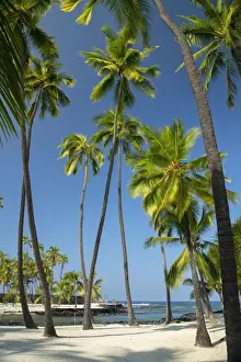 Parc Prints: USA; Hawaii; Big Island, Pu uhonua o Honaunau; National Park; The City of Refuge