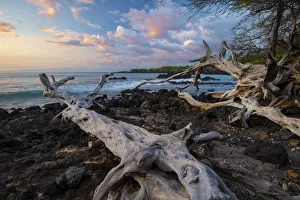 Images Dated 19th July 2018: USA, Hawaii, Big Island, South Kohala, Hapuna Beach