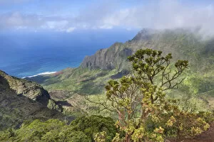 Images Dated 12th October 2021: USA, Hawaii, Kauai, Na Pali Coast, Puu o Kila Lookout