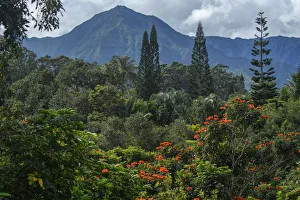 Images Dated 19th July 2018: USA, Hawaii, Kauai, North Shore, North Shore