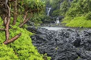 Images Dated 12th October 2021: USA, Hawaii, Maui, Haleakala Nationalpark, Oheo Gulch