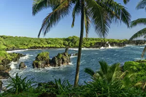 Images Dated 19th July 2018: USA, Hawaii, Maui, Hana, Waianapanapa State Park