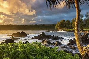Pacific Gallery: USA, Hawaii, Maui, Keanae Beach, morning light