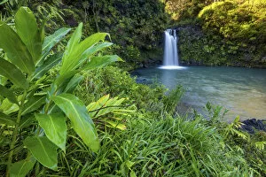 Images Dated 12th October 2021: USA, Hawaii, Maui, Puaaka Falls