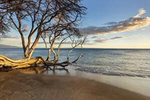 Images Dated 12th October 2021: USA, Hawaii, Maui, Puamana Beach, sunset