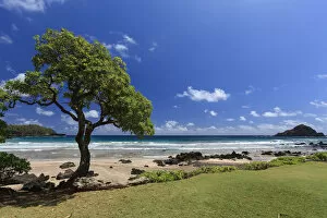 Images Dated 17th July 2013: USA, Hawaii, Maui, Road to Hana, coastal landscape near Keanae Peninsula