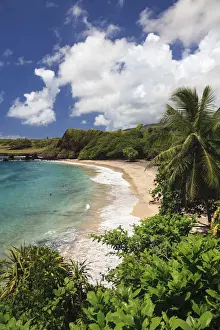 Coastal Landscape Prints: USA, Hawaii, Maui, Road to Hana, coastal landscape near Keanae Peninsula
