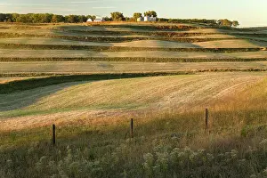 Plains Prints: USA, Iowa, Madison County, Winterset, fields