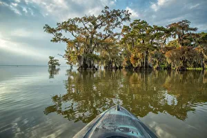 Images Dated 27th January 2023: USA, Louisiana, Atchafalaya Basin, , Lake Fausse Pointe State Park