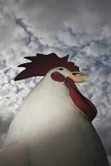 Images Dated 1st March 2010: USA, Louisiana, Cajun Country, Vidrine, giant concrete rooster