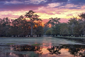 USA, Louisiana, Jefferson Parish, Lafayette, Lake Martin