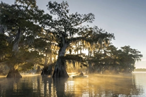 USA, Louisiana, Jefferson Parish, St. Martinville, Lake Fausse