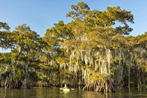 USA, Louisiana, Jefferson Parish, St. Martinville, Lake Fausse