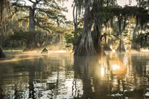 USA, Louisiana, Jefferson Parish, St. Martinville, Lake Fausse
