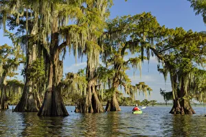 USA, Louisiana, Jefferson Parish, St. Martinville, Lake Fausse