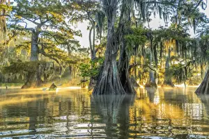 USA, Louisiana, Lake Fausse Pointe State Park is located in Iberia Parish, Louisiana and St