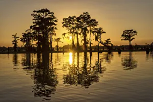 USA, Louisiana, St. Martins Parish, Breaux Bridge, Atchafalaya Basin Landing & Marina