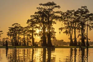 USA, Louisiana, St. Martins Parish, Breaux Bridge, Atchafalaya Basin sunset