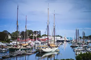 Camden Prints: USA, Maine, Camden, Camden Harbor and windjammers sailing ships