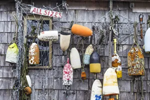 Northeastern Prints: USA, Maine, Cape Neddick, lobster shack