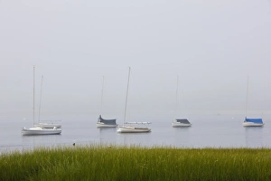 USA, Massachusetts, Cape Ann, Gloucester, Annisquam harbour in Fog