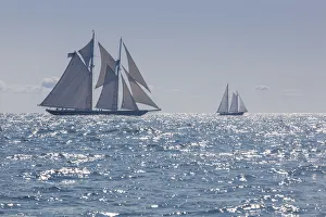 USA, Massachusetts, Cape Ann, Gloucester, Americas Oldest Seaport, Gloucester