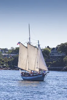 USA, Massachusetts, Cape Ann, Gloucester, annual Gloucester Schooner Festival, schooner