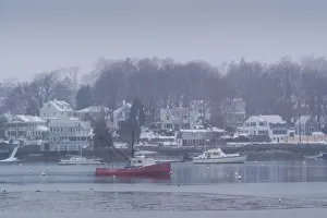 North Shore Prints: USA, Massachusetts, Gloucester, Annisquam, Lobster Cove, winter
