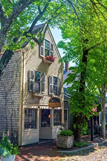 Nantucket Prints: USA, Massachusetts, Nantucket, Nantucket Town, Centre Street