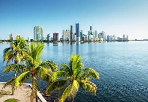 Q3 2023 Collection: USA, Miami, Florida, Downtown Skyline, Biscayne Bay, Palm Tree, Morning