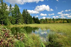 Minnesota Prints: USA, Minnesota, Itasca State Park, Mississippi Headwaters