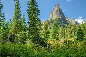 Montana Prints: USA; Montana; Waterton Glacier International Peace Park; Glacier; National Park; UNESCO World heritage; Two Medicine