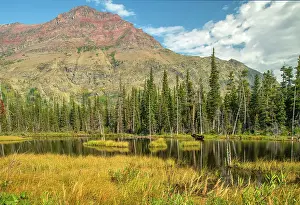 Montana Prints: USA; Montana; Waterton Glacier International Peace Park; Glacier; National Park; UNESCO World heritage; Two Medicine