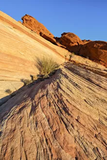 Images Dated 24th November 2021: USA, Nevada, Valley of Fire State Park