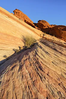 Images Dated 24th November 2021: USA, Nevada, Valley of Fire State Park