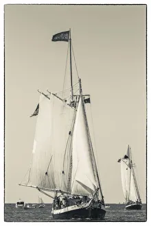 USA, New England, Cape Ann, Massachusetts, Gloucester, Gloucester Schooner Festival