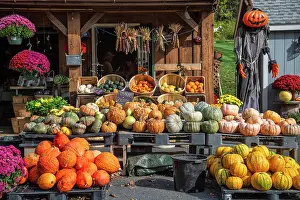 Store Prints: USA New England, East Coast, Massachussetts, Franklin County, Deerfield, Farmstand
