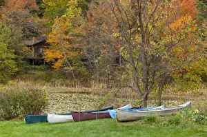 White Mountains Prints: USA, New England, Indian Summer, White Mountains, New Hampshire, Lake Kanasatka