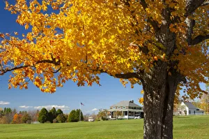 USA, New England, Indian Summer, East, New Hampshire, golf course in fall near Sugar