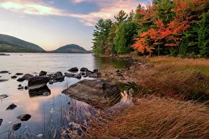 Wetland Prints: USA, New England, Maine, Acadia National Park Mount Desert Island, Eagle Lake