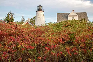 Small Town Prints: USA, New England, Maine, Coast, Castine, Dyce Head Lighthouse