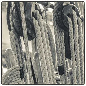 USA, New England, Massachusetts, Cape Ann, Gloucester, Gloucester Schooner Festival
