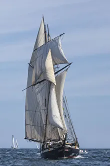 USA, New England, Massachusetts, Cape Ann, Gloucester, Gloucester Schooner Festival