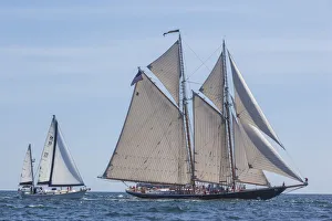 USA, New England, Massachusetts, Cape Ann, Gloucester, Gloucester Schooner Festival