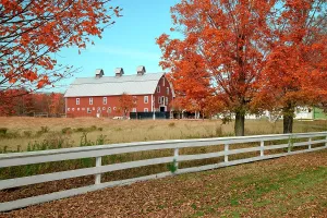 Sullivan County Prints: USA, New England, New Hampshire, Sullivan County, Croydon, farm