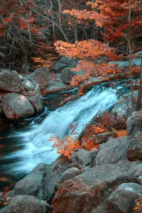 White Mountains Prints: USA, New England, New Hampshire