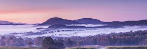 Vermont Prints: USA, New England, Vermont, Peacham, morning fog, autumn